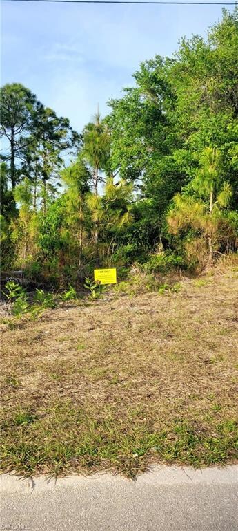 961 Iris St E, Lehigh Acres, FL 33974