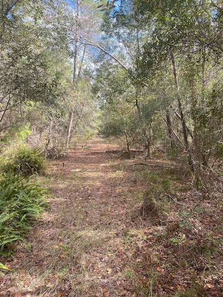111 Arkansas St, Satsuma, FL 32189