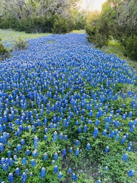 Lot 13 & 14 Twisted Oak Dr, Horseshoe Bay, TX 78654