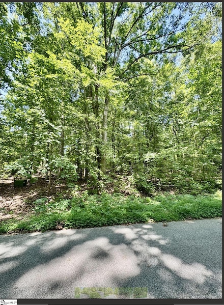 Lot B Adair Place, Laurens, SC 29360