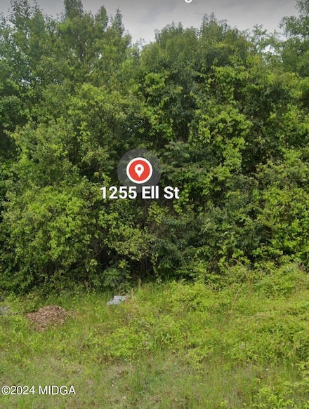 1255 Ell St, Macon, GA 31206