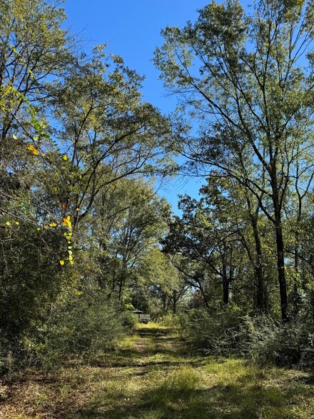 1030 Henry Eubanks Rd, Lucedale, MS 39452