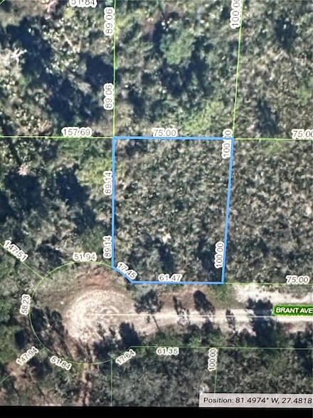 345 Brant Ave, Sebring, FL 33870