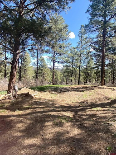 116 Nutria Cir, Pagosa Springs, CO 81147