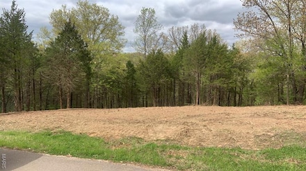 11524 Ten Point Ln, Festus, MO 63028