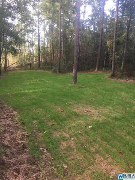 241 Sulpher Springs Rd Unit 9.89 acres, Lincoln, AL 35096