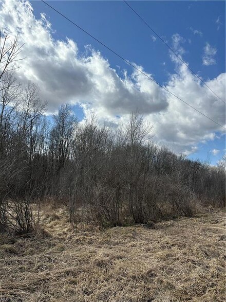 V/L Linton Rd, Jefferson, OH 44047