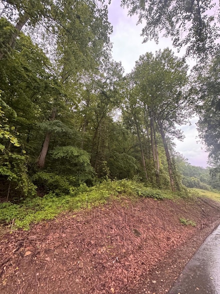 499 Little Bullskin Rd, Oneida, KY 40972