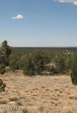 tbd 111-12-004b -- Unit 3, Heber, AZ 85928
