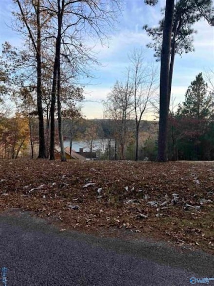 Lot 6 Whippoorwill Dr, Double Springs, AL 35553