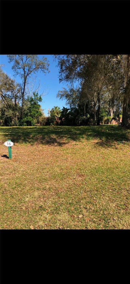 29523 Chapel Park Dr, Wesley Chapel, FL 33543
