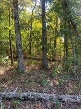 0 Letchworth Dr, Bella Vista, AR 72714