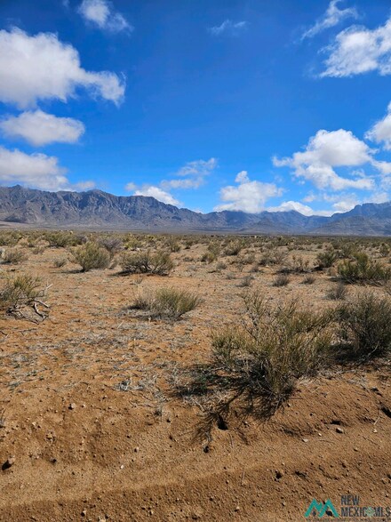 XXXX Camino Sies SE, Deming, NM 88030