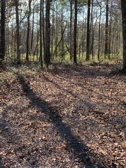 10155 Old Georgetown Rd, McClellanvle, SC 29458