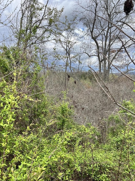 5 Mayers Rd, Booneville, KY 41311