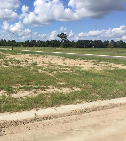 219 #219 Snowy Egret Dr, Lake Charles, LA 70615