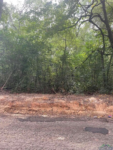TBD Lancaster St, Marshall, TX 75672