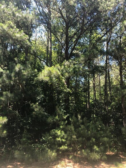 5 Yeo Neck Run Rd Unit 5&5A, Melfa, VA 23410