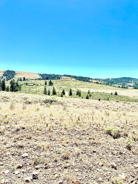 NKA Cowiche Mill Rd, Cowiche, WA 98923