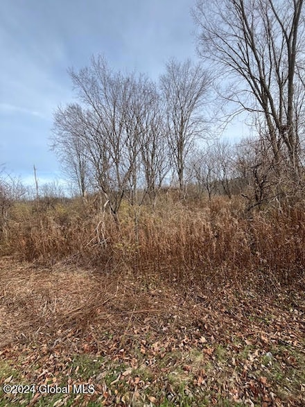 415 Gage Rd, Duanesburg, NY 12053