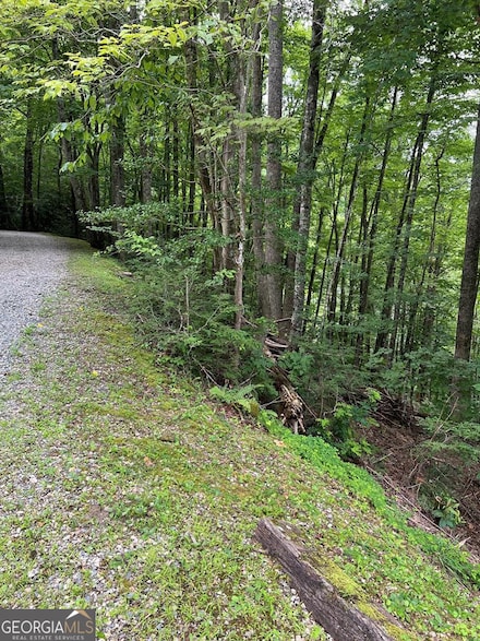 LOT 3 SEC 3 Rhododendron Dr, Topton, NC 28781