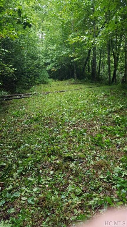 00 Fenley Forest Trail, Cullowhee, NC 28723