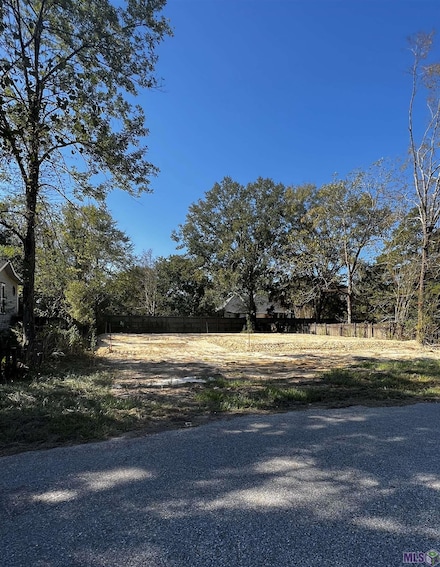 308 Carroll St, Denham Springs, LA 70726