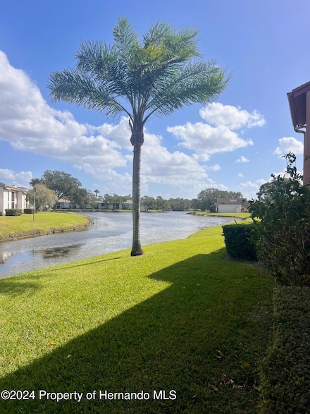 143 Lakeside Dr, Oldsmar, FL 34677