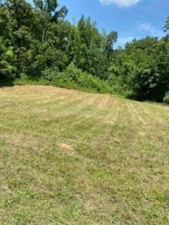 0 Love Branch Rd, Hampshire, TN 38461