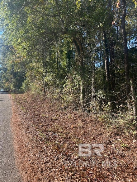 0 Lee St, Castleberry, AL 36432