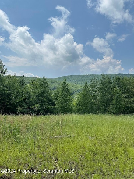 58 Summit Woods Rd, Roaring Brook Township, PA 18444