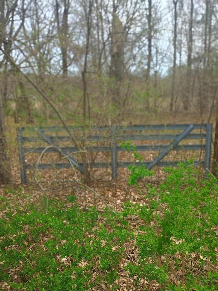 000 E Hungerford Lake Dr, Norwich Township, MI 49307