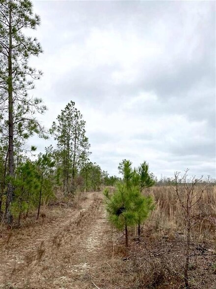 0 Cole Rd Unit 21820, Dublin, GA 31021