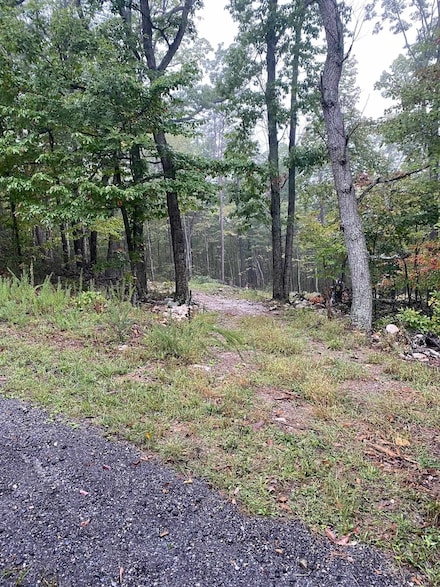 TBD Panorama View Dr, Stanley, VA 22851