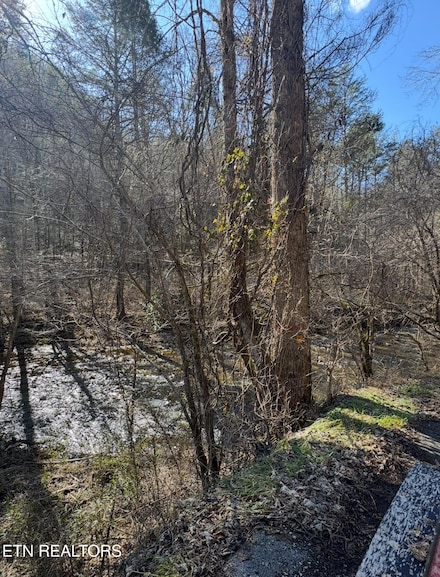 0 Old 15th Rd Unit 1289919, Del Rio, TN 37727