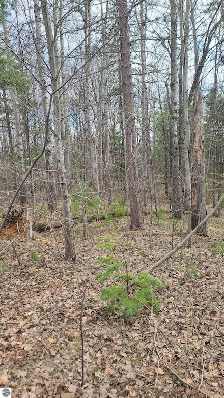 0000 Laura Ln Unit 7, Kalkaska Township, MI 49646