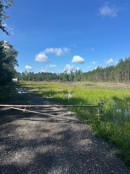 4 Rudd Rd, Ridgeville, SC 29472