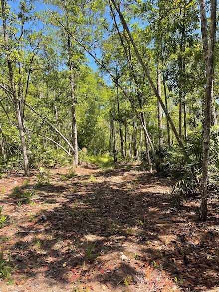 3781 Pine Pitch Ct, Ormond Beach, FL 32174