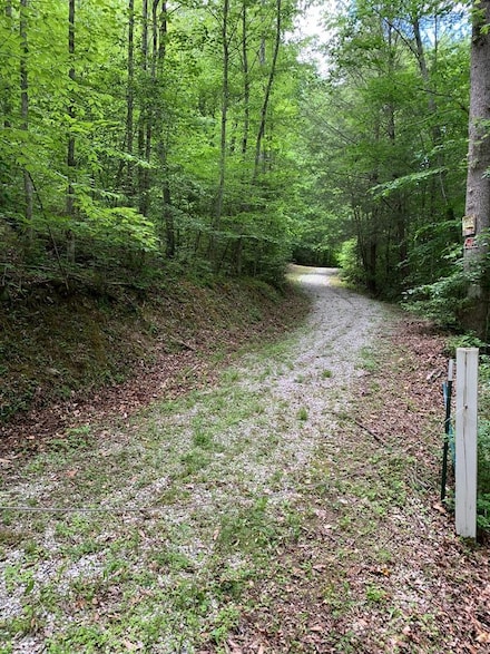000 Burton Hollow Ln, Viper, KY 41774