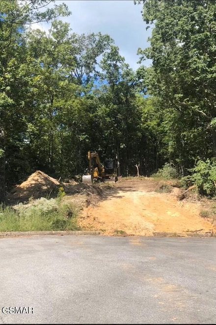 5 Shell Mountain Rd, Sevierville, TN 37876