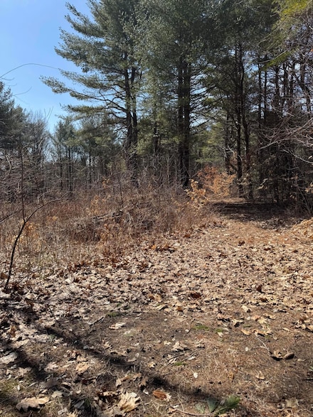 TBD Pine Hill Rd, Casco, ME 04015