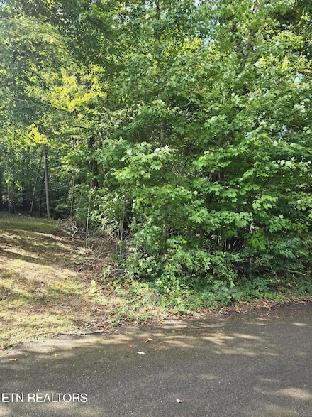 00 Reagan St, Harrogate, TN 37752