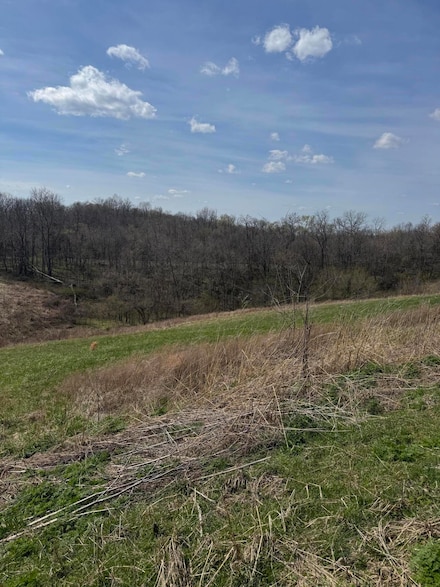 0000 Hinton Rd, Sadieville, KY 40370