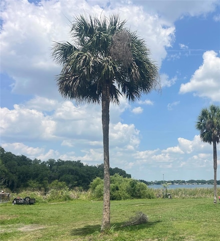 1231 43rd St, Orlando, FL 32839