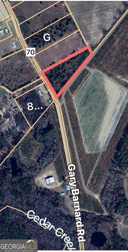 0 Gary Barnard Rd Unit LOT 8 10497582, Cobbtown, GA 30420