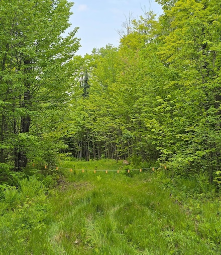 23990 Bass Lake Rd, Watersmeet, MI 49969