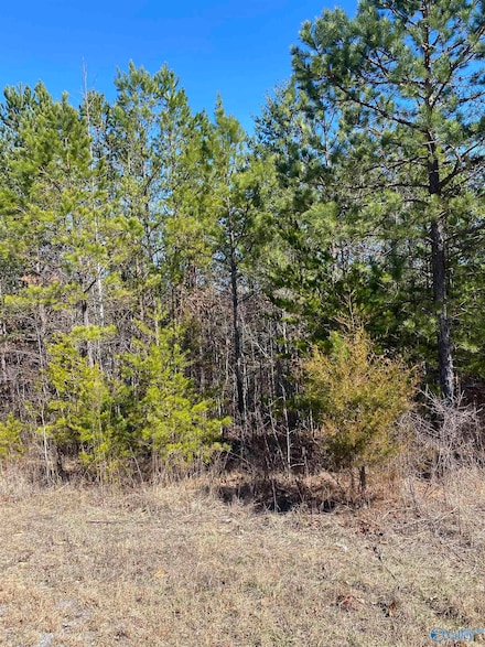 Lot 4 1st Add Alyson Ave NW, Fort Payne, AL 35968
