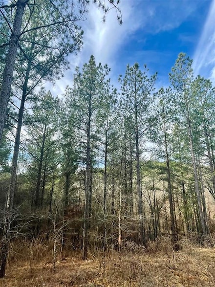 707 Timber Creek Trails South Xl, Broken Bow, OK 74728