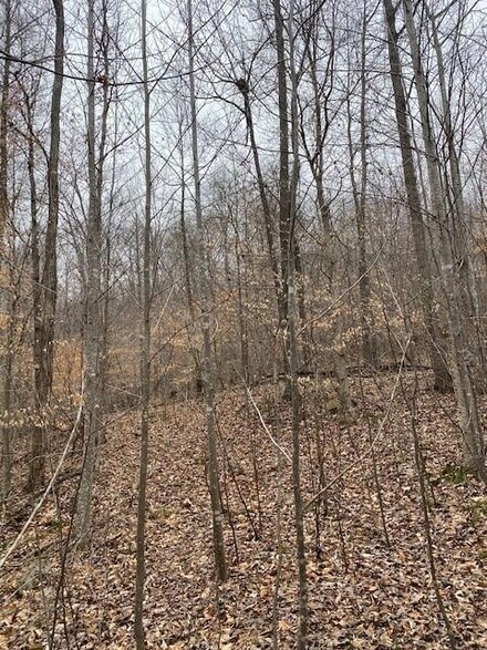 Tract 15 River Rd, Decatur, TN 37322