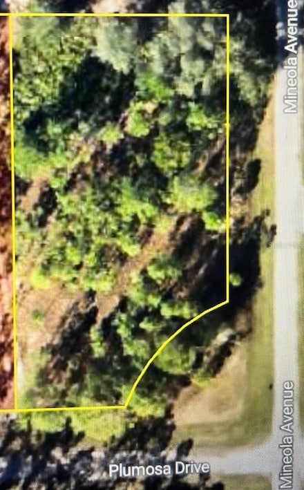 3250 Plumosa Dr, Lake Wales, FL 33855